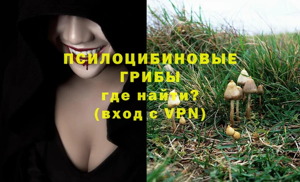 крисы Бронницы