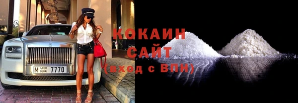 крисы Бронницы