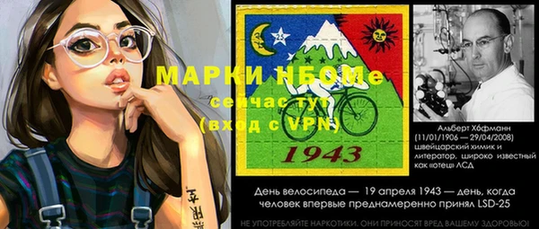 крисы Бронницы