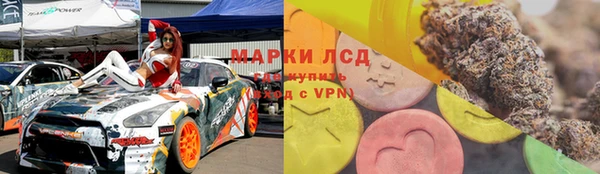 крисы Бронницы